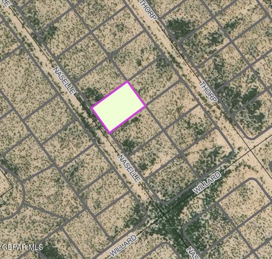 0.74 acres in El Paso County - photo 9