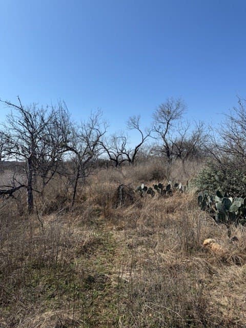 0.92 acres in Llano County gallery image 3