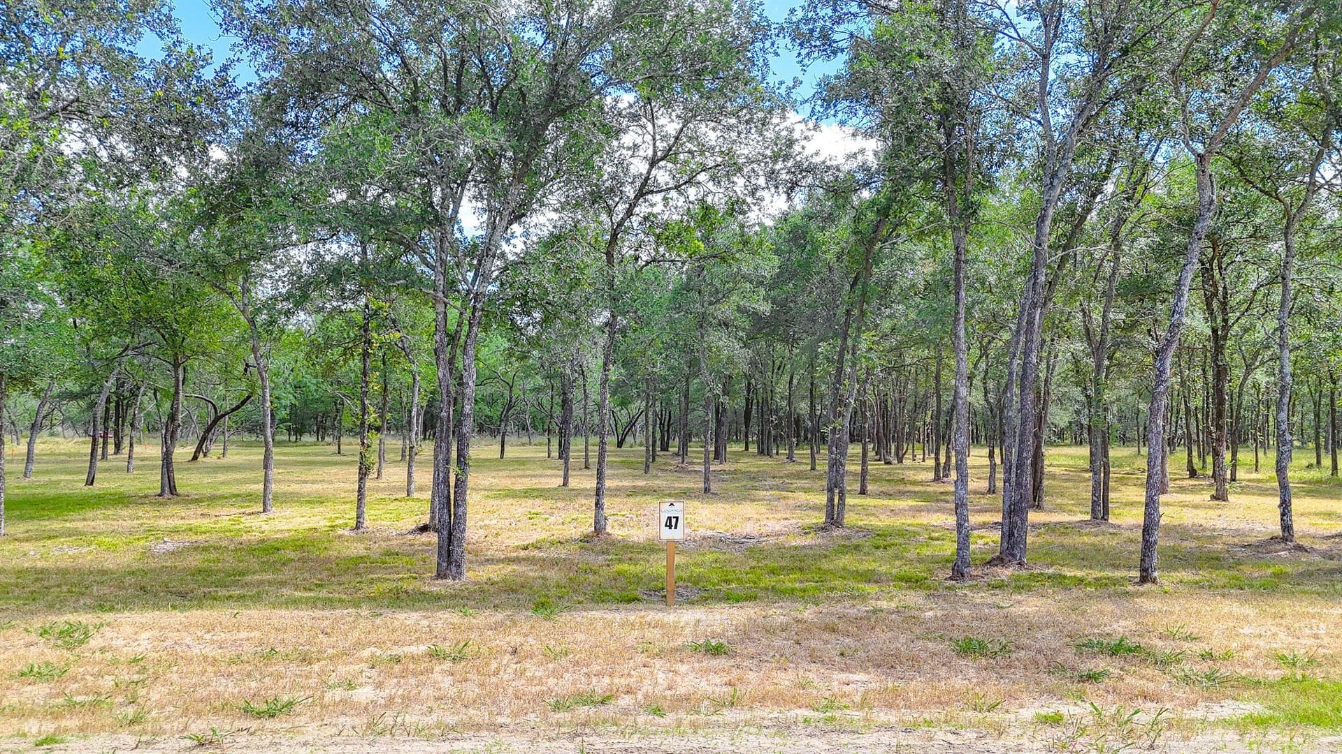 3.04 acres in Navarro County - photo 2