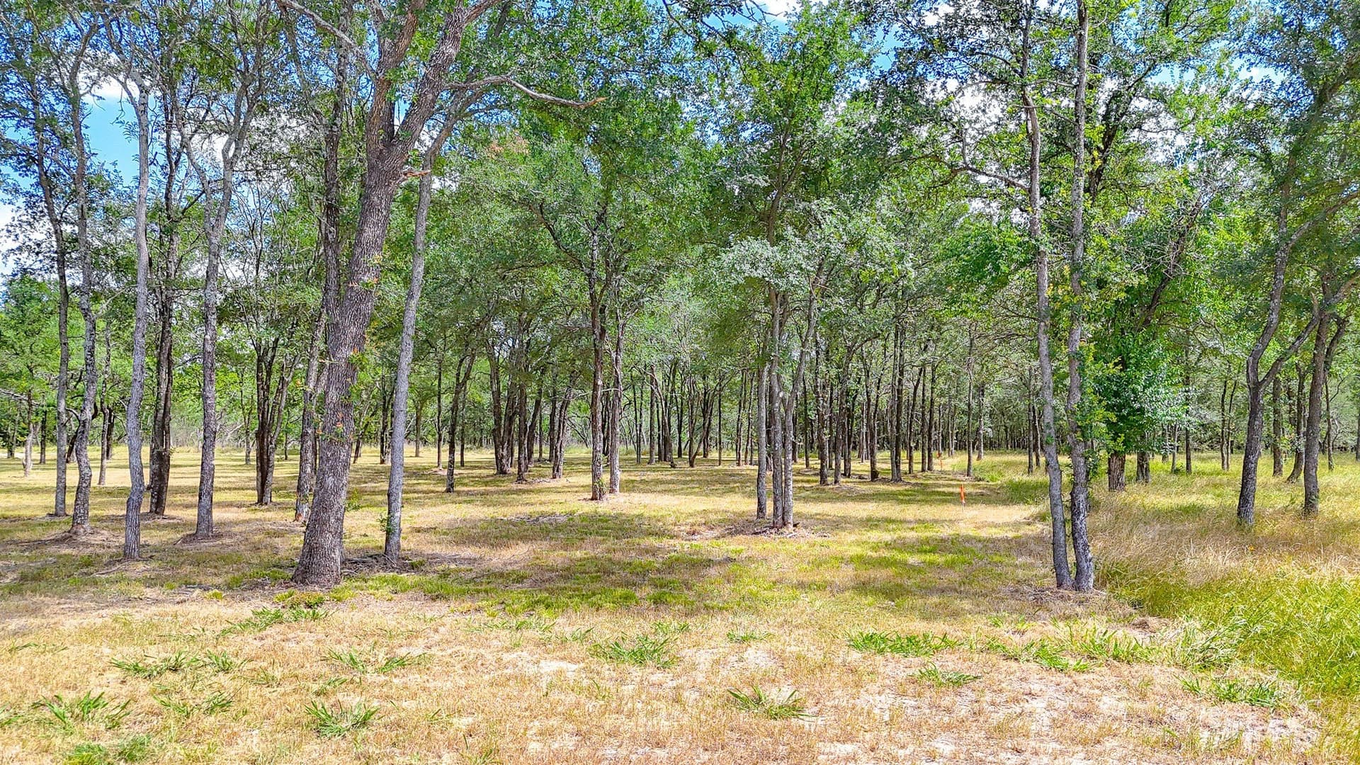 3.04 acres in Navarro County - photo 4