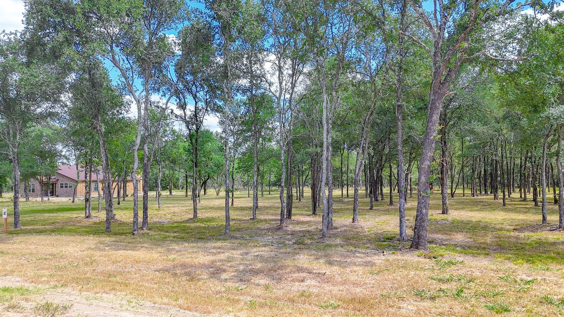 3.04 acres in Navarro County - photo 3
