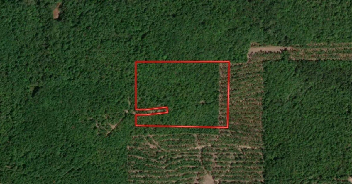 20 acres in Cass County - photo 4