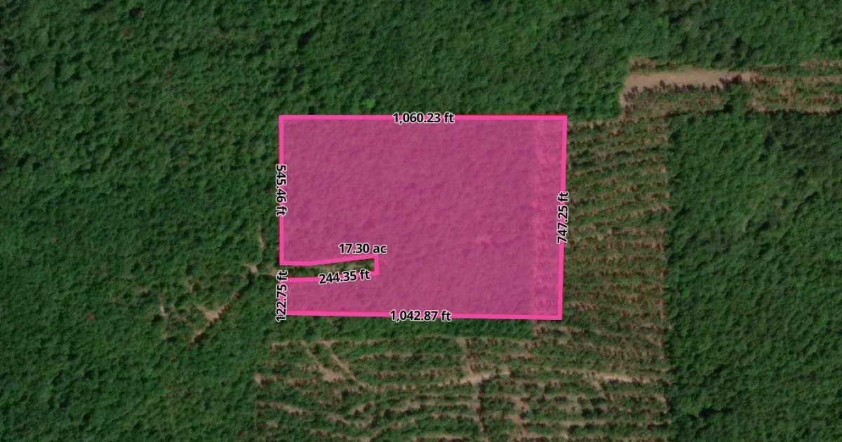 20 acres in Cass County - photo 3