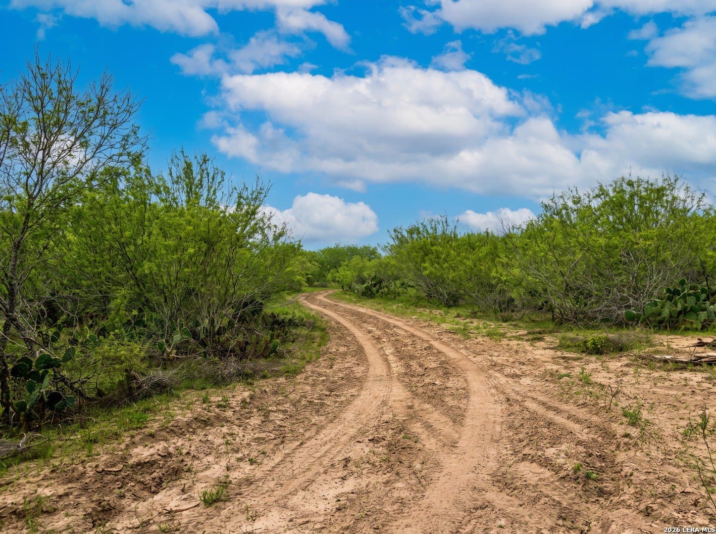 109 acres in Jim Wells County - photo 17