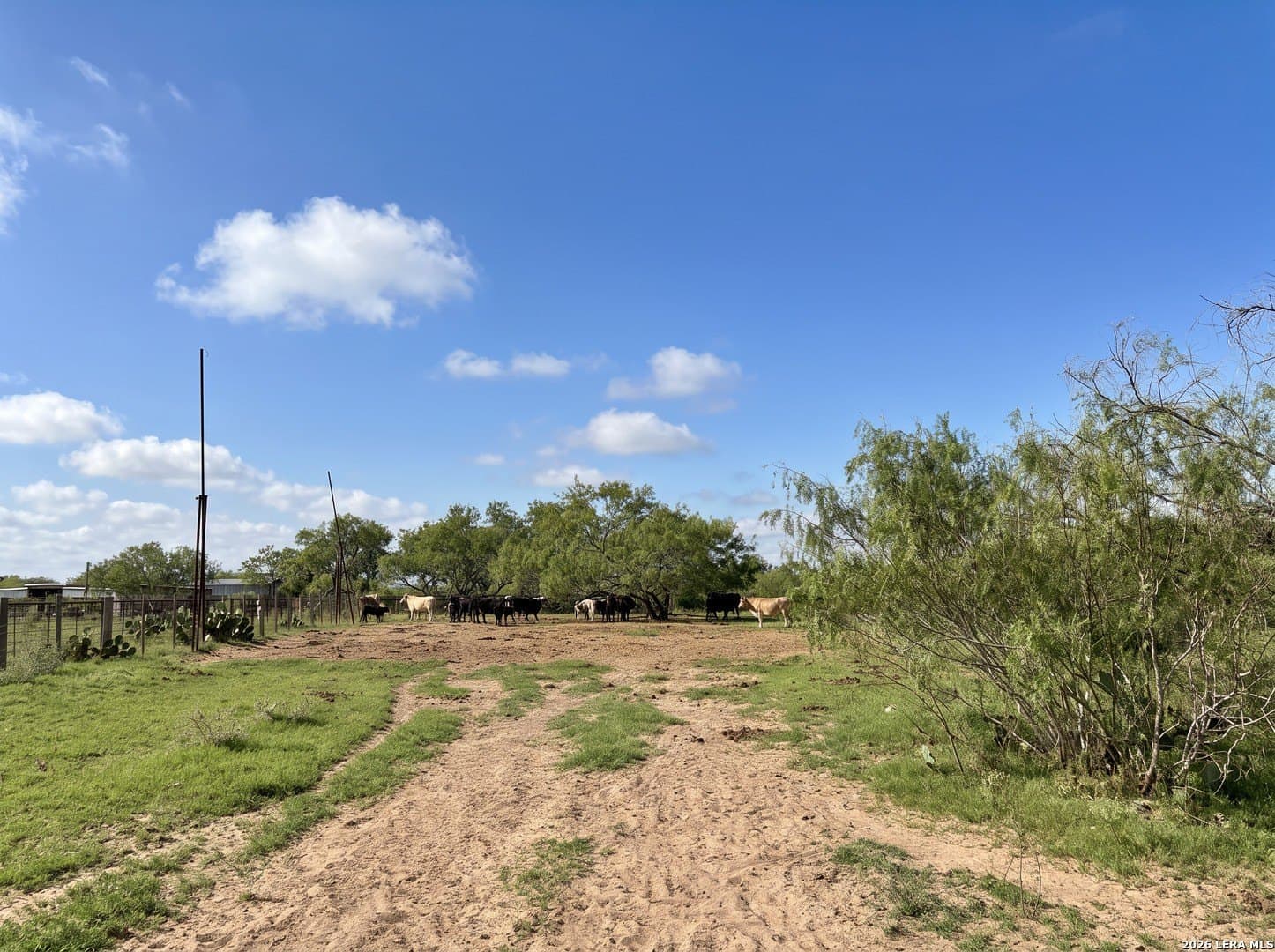 109 acres in Jim Wells County - photo 13