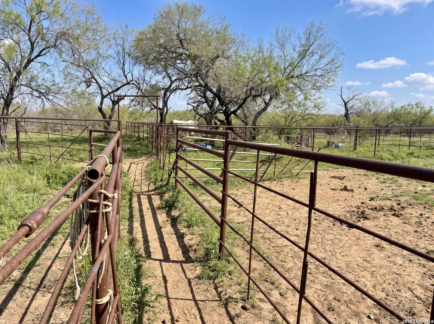 109 acres in Jim Wells County - photo 10