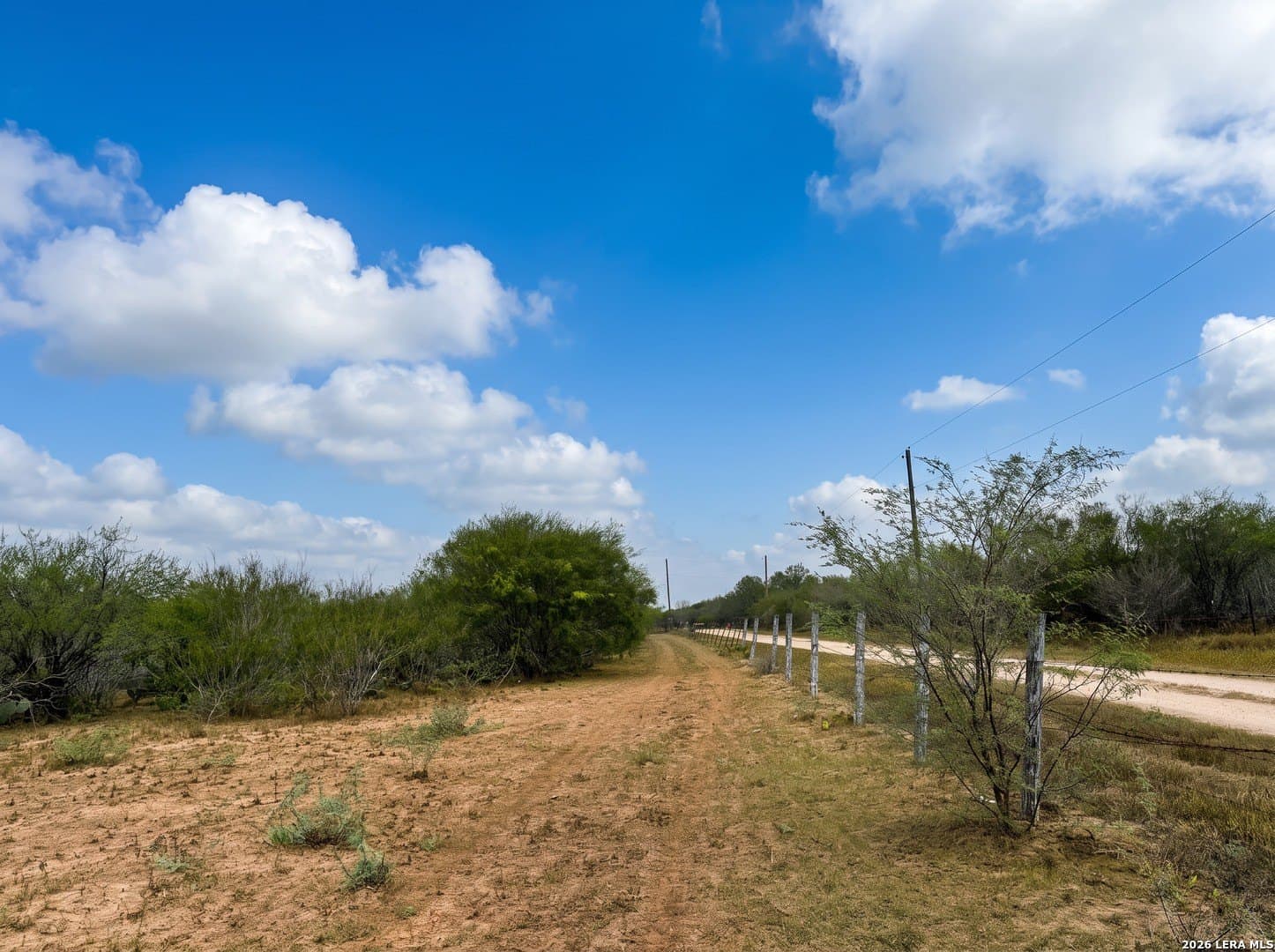 109 acres in Jim Wells County - photo 5