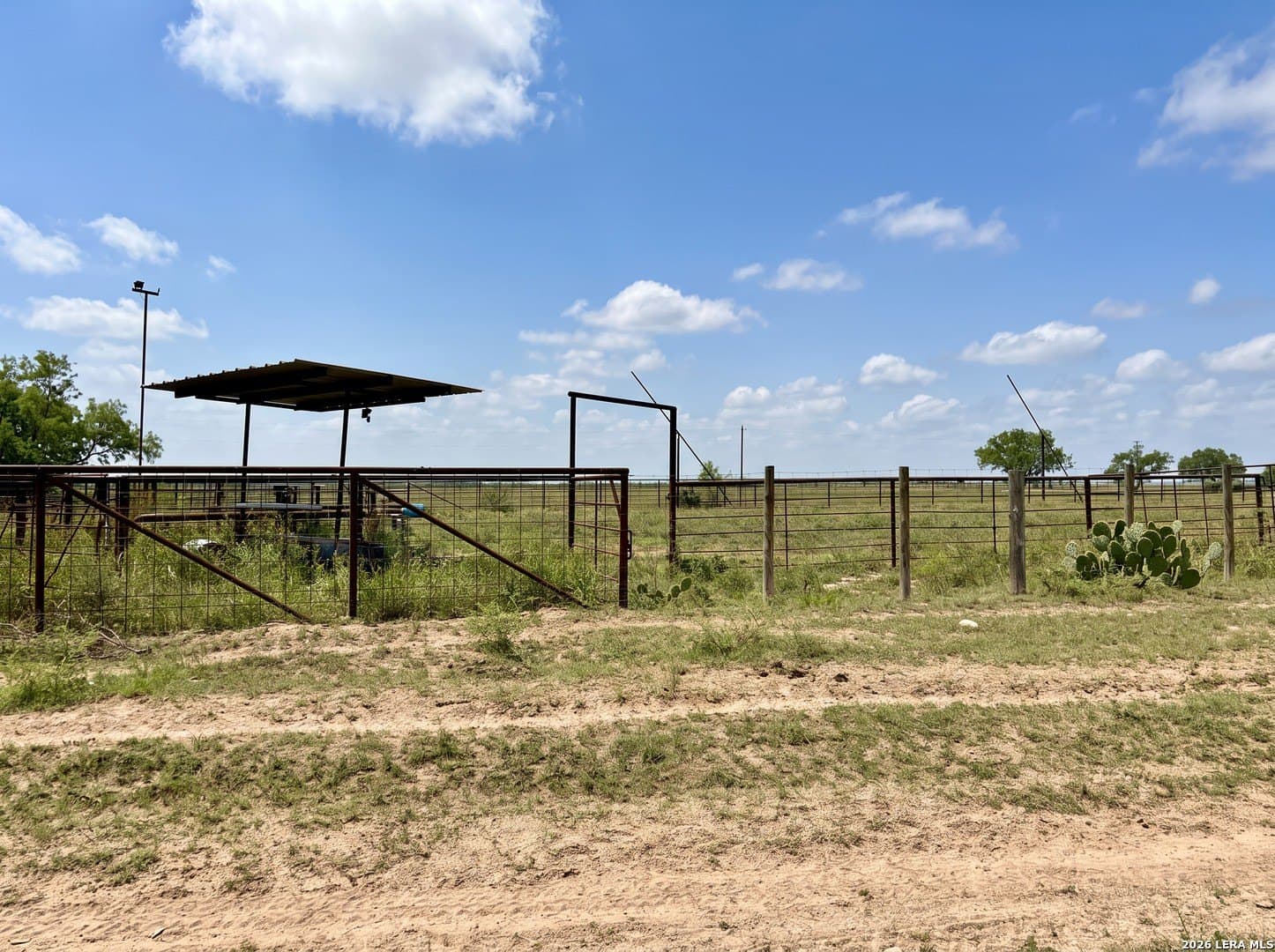 109 acres in Jim Wells County - photo 12
