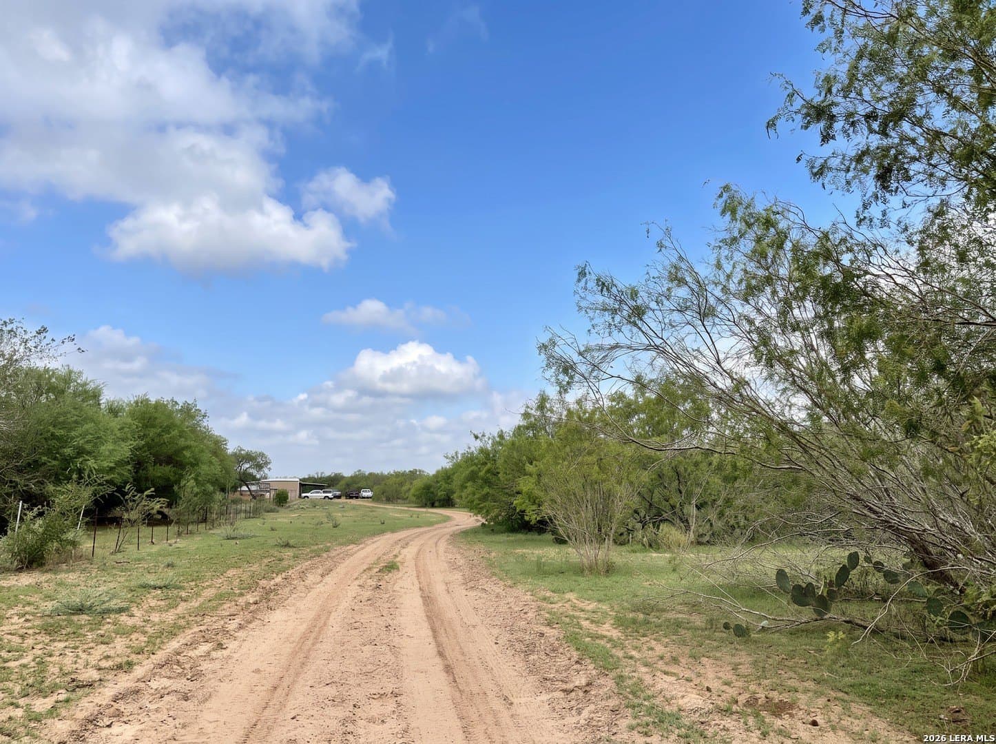 109 acres in Jim Wells County - photo 19