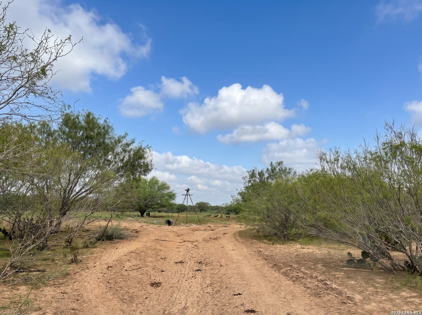 109 acres in Jim Wells County - photo 14