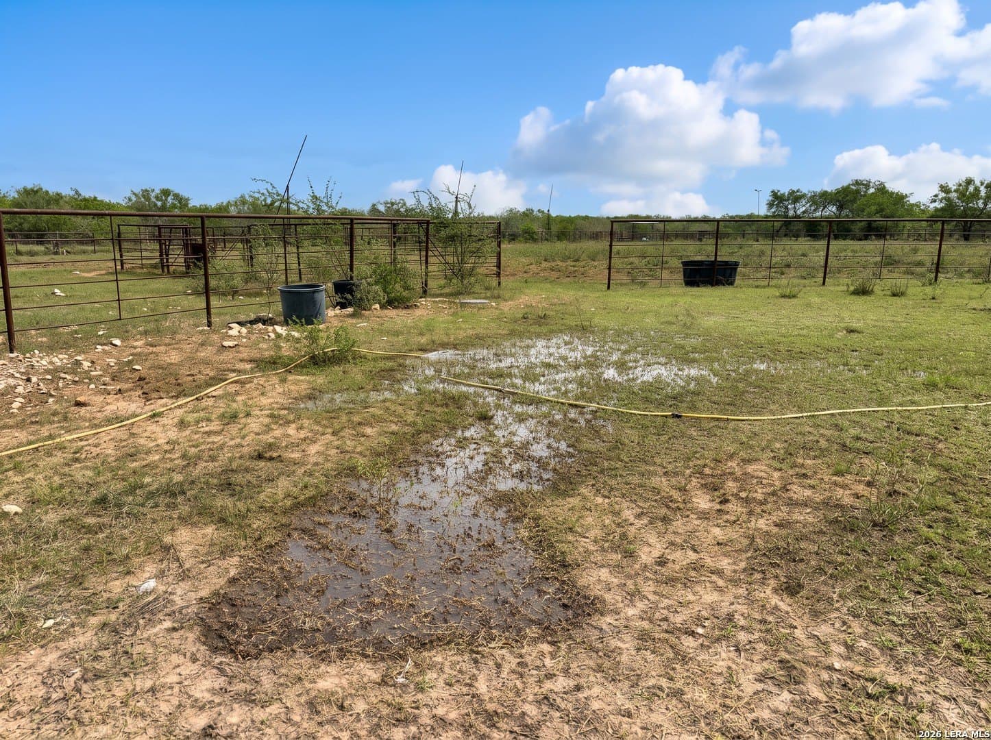 109 acres in Jim Wells County - photo 7