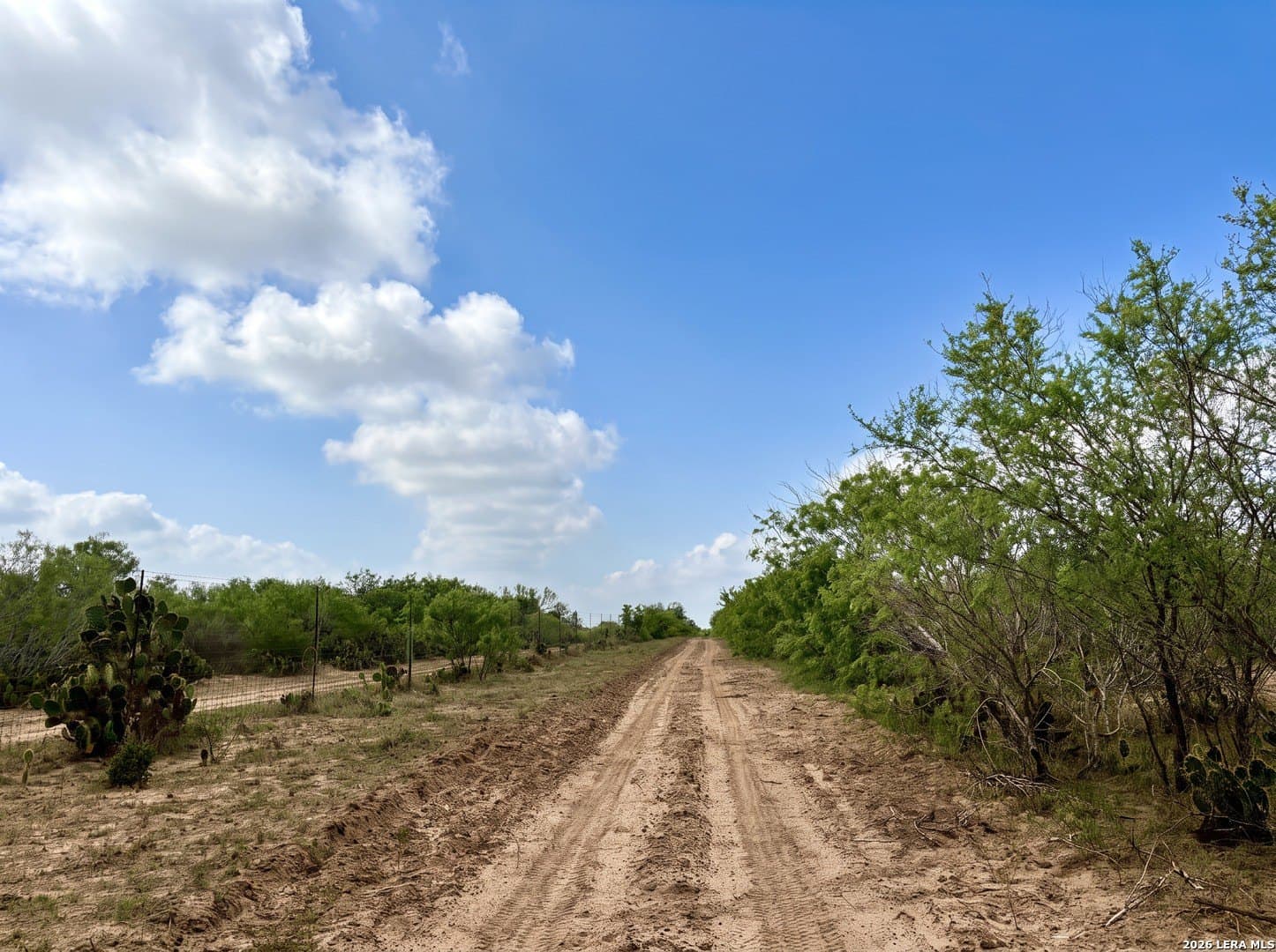 109 acres in Jim Wells County - photo 16