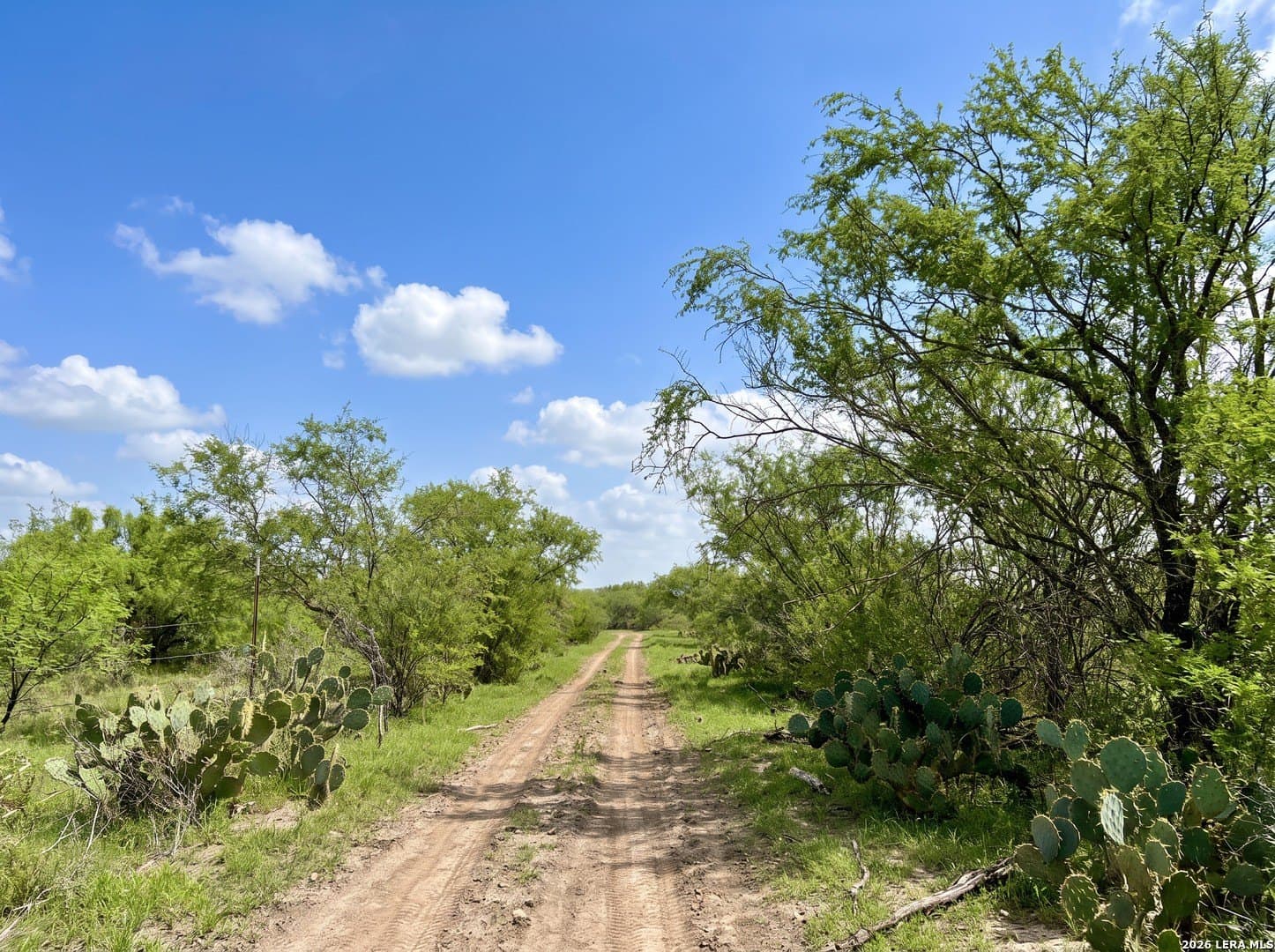 109 acres in Jim Wells County - photo 15