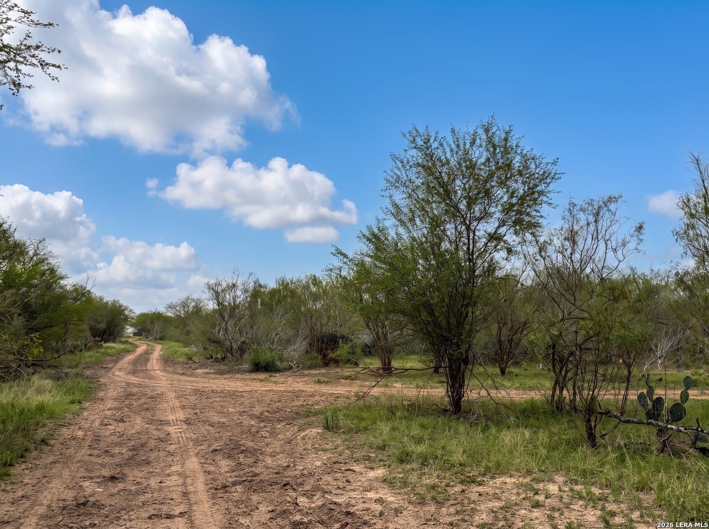 109 acres in Jim Wells County - photo 18