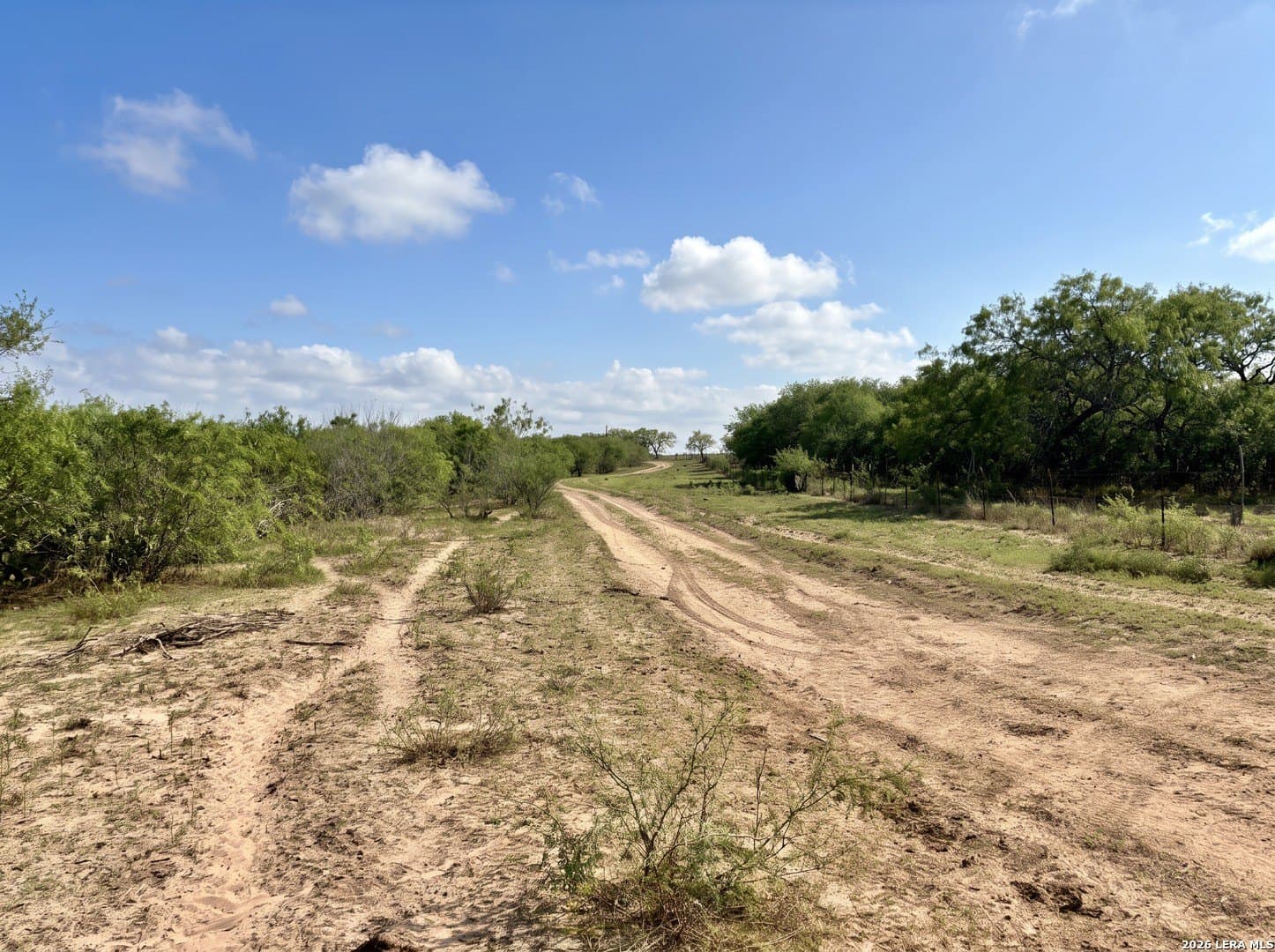 109 acres in Jim Wells County - photo 11