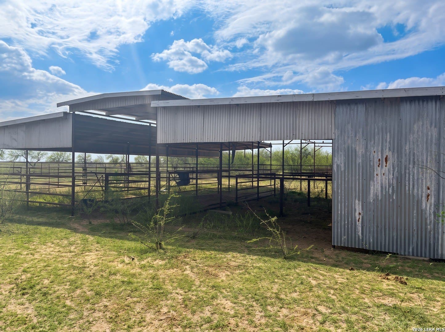 109 acres in Jim Wells County - photo 6