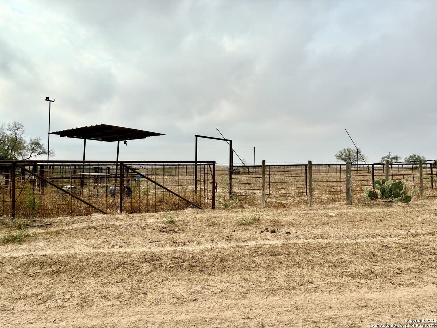 109 acres in Jim Wells County featured view