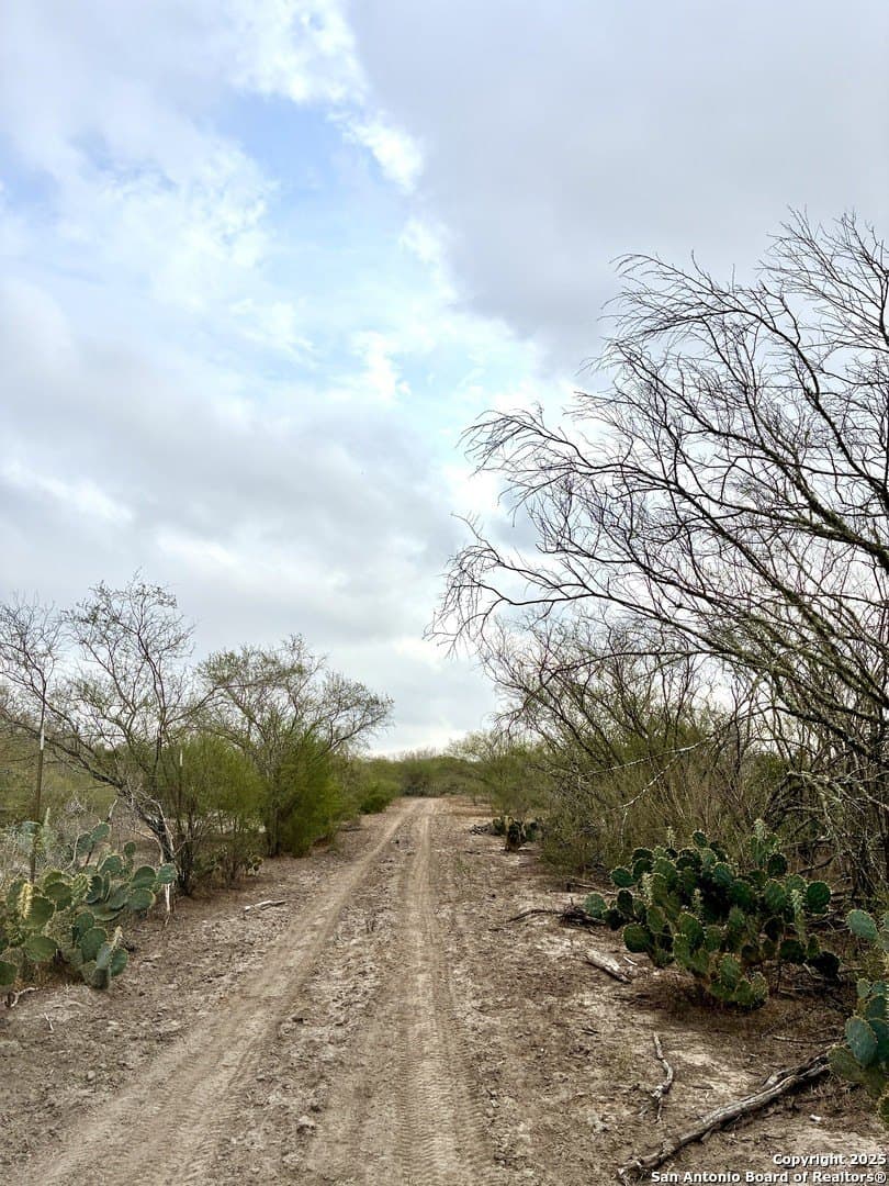 109 acres in Jim Wells County gallery image 4