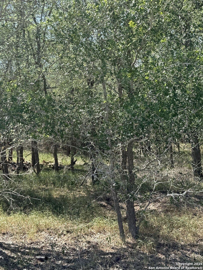 0.32 acres in Wilson County - photo 2