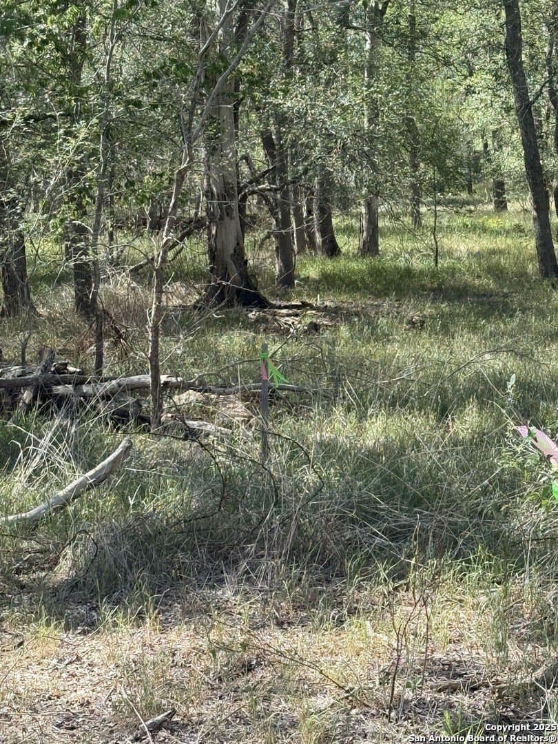 0.32 acres in Wilson County - photo 4