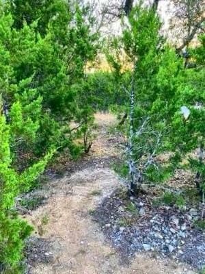 5.58 acres in Uvalde County - photo 29