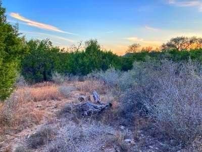 5.58 acres in Uvalde County - photo 31