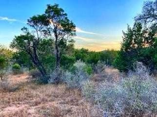 5.58 acres in Uvalde County - photo 33