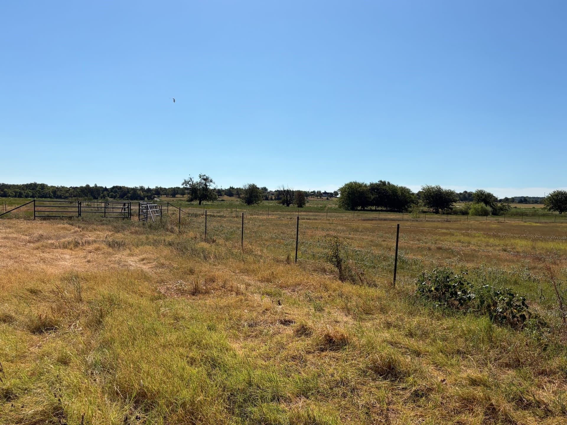 12.26 acres in Grayson County - photo 6