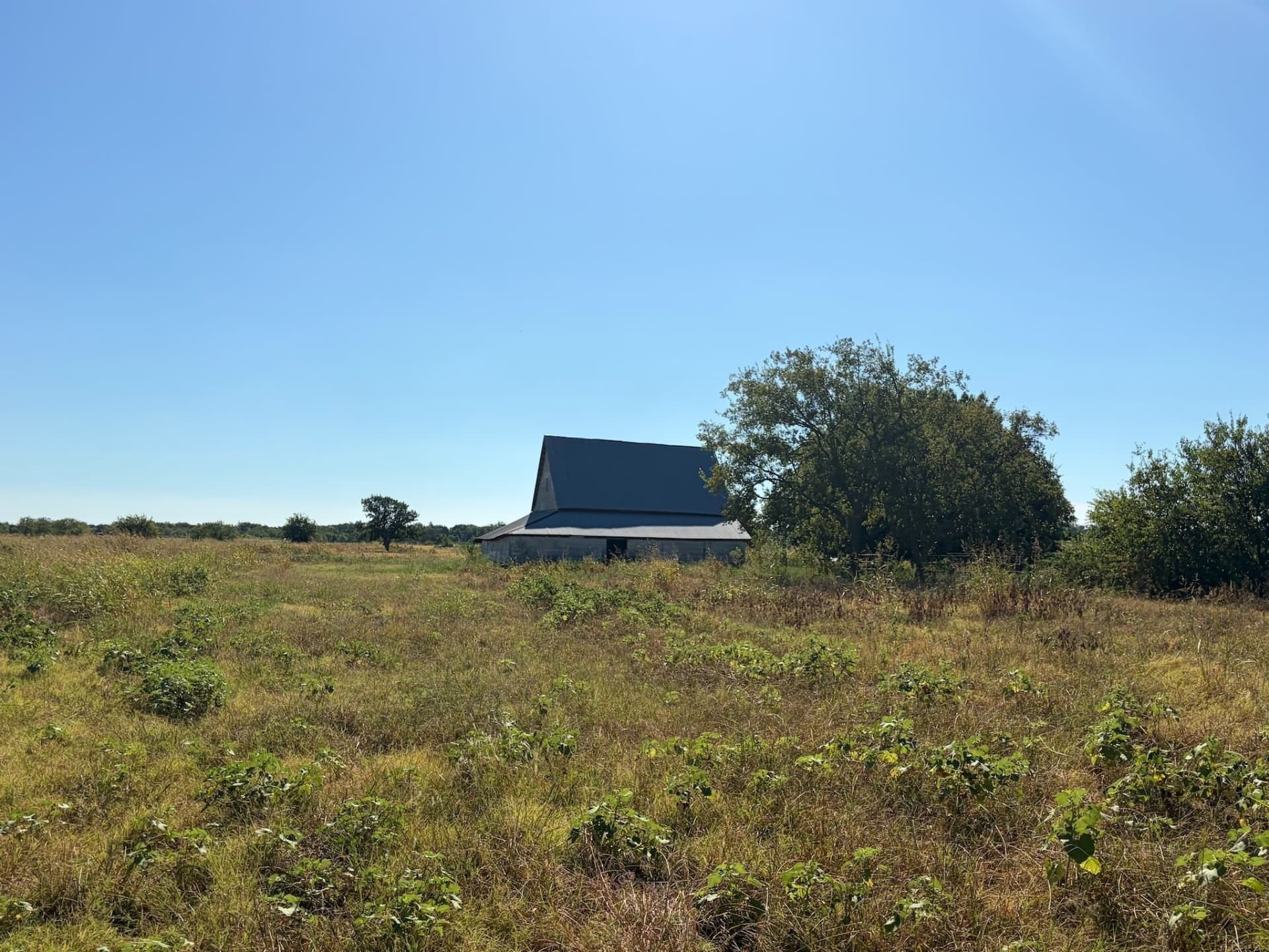 12.26 acres in Grayson County - photo 4