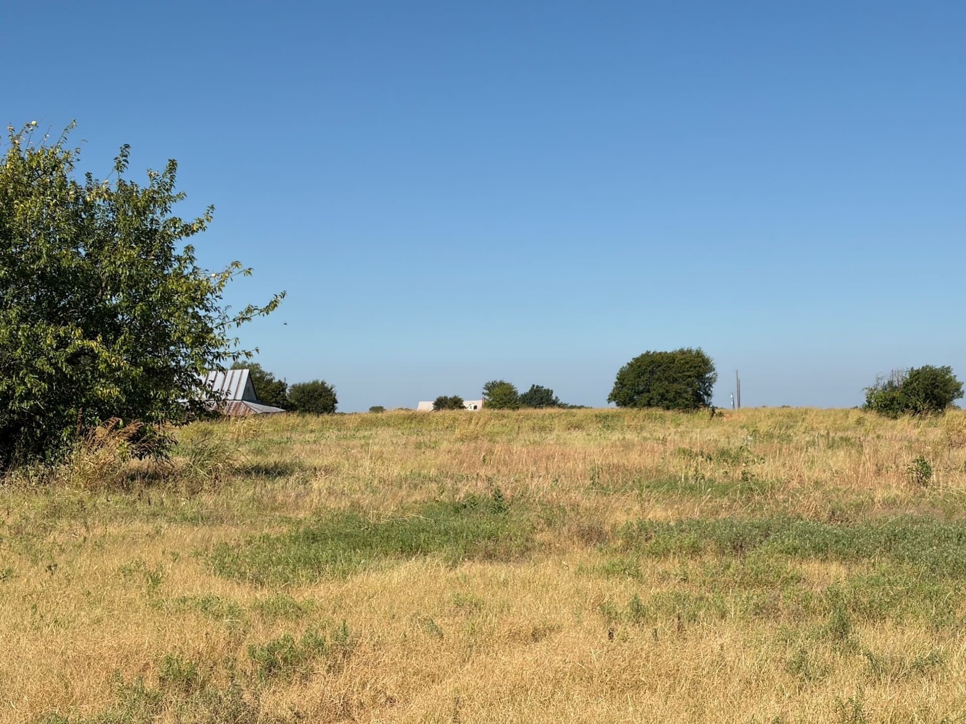 12.26 acres in Grayson County - photo 8