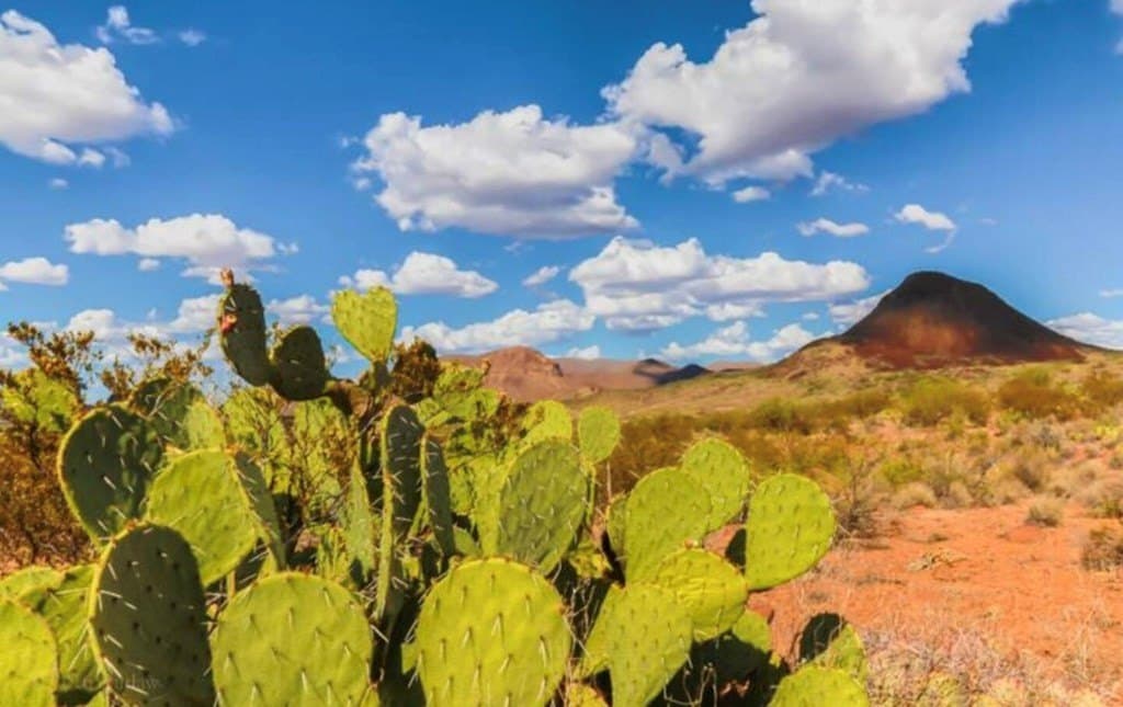 10 acres in Brewster County featured view
