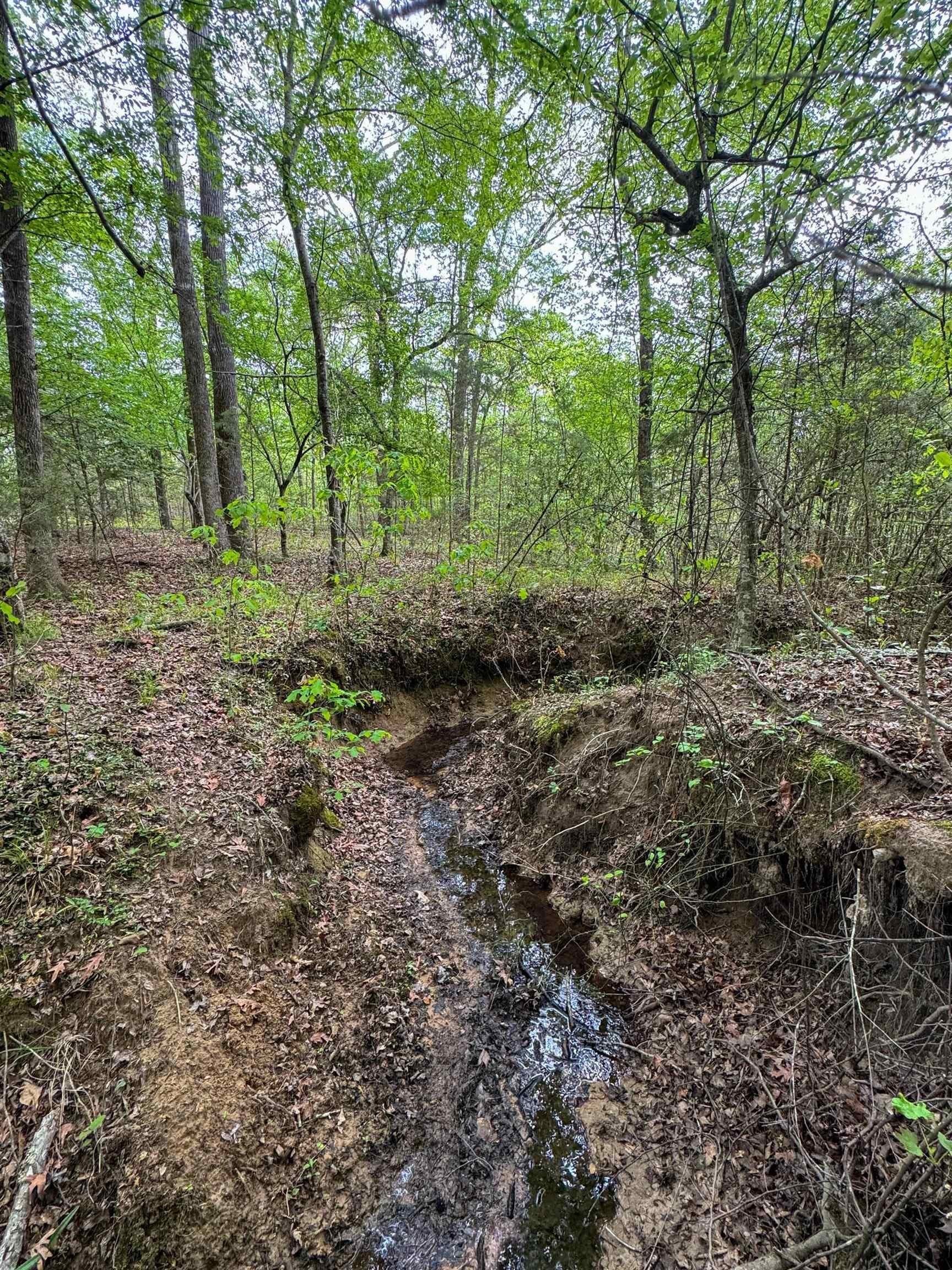 11.8 acres in Cass County - photo 9