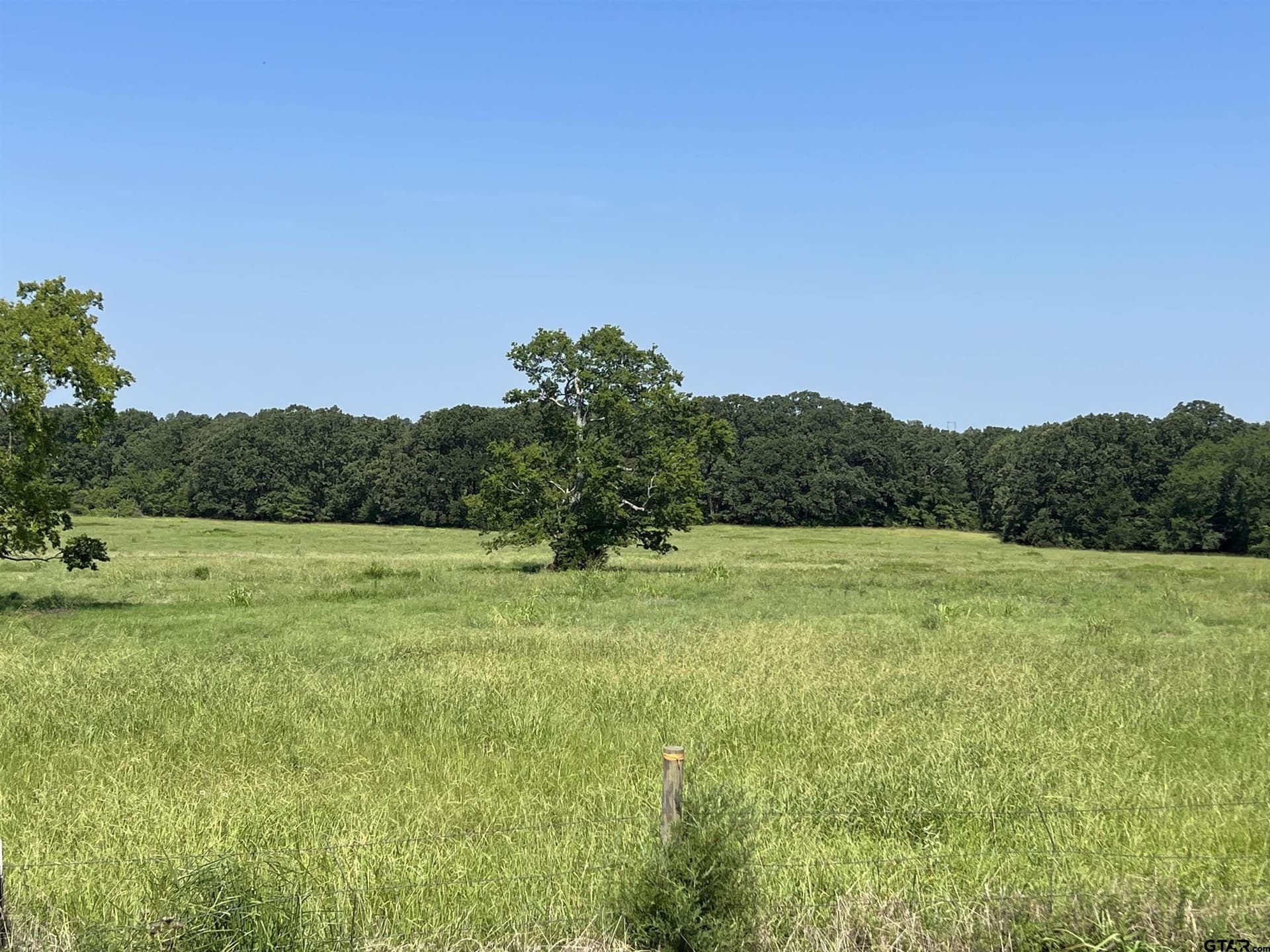 50 acres in Titus County featured view