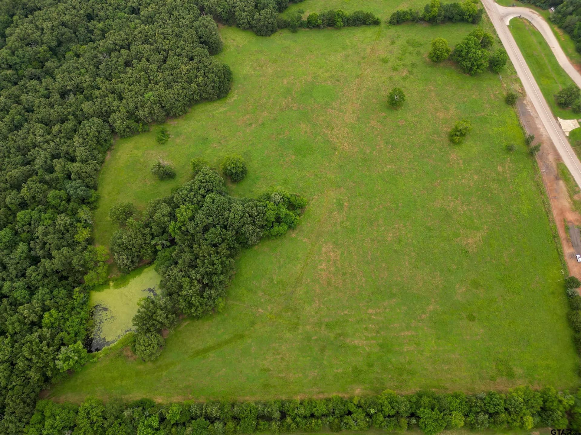 50 acres in Titus County gallery image 3