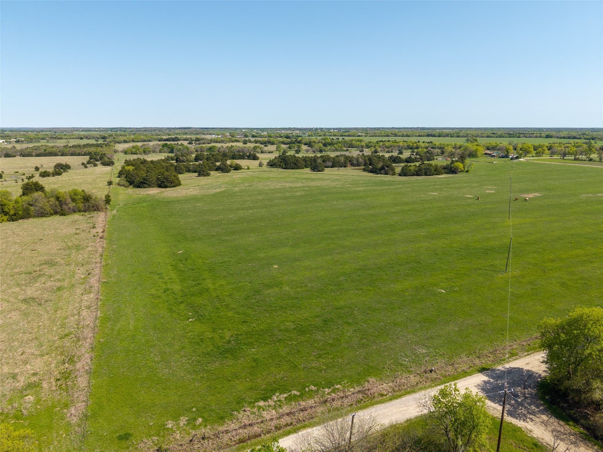 35 acres in Hunt County gallery image 3