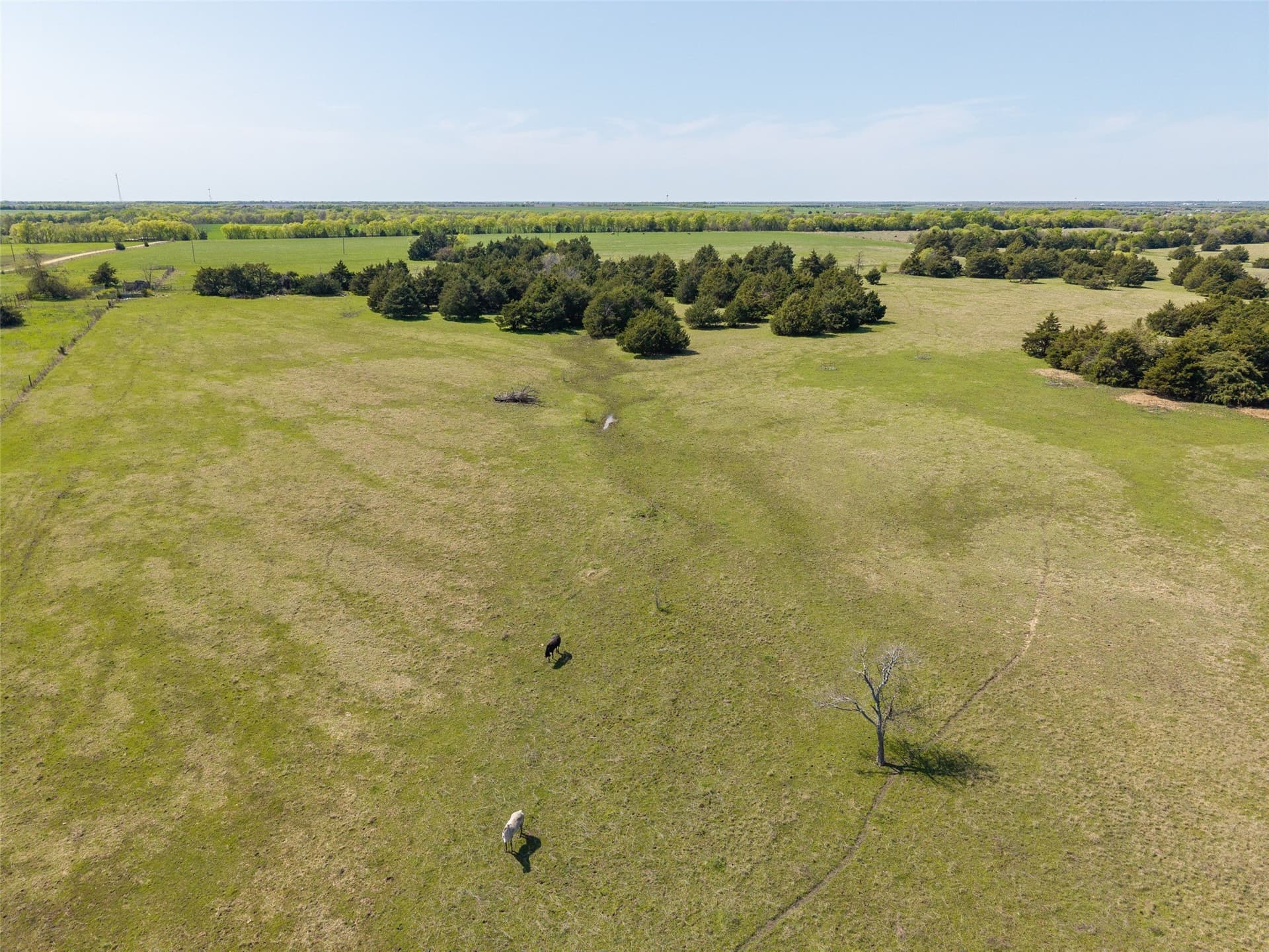 35 acres in Hunt County gallery image 2