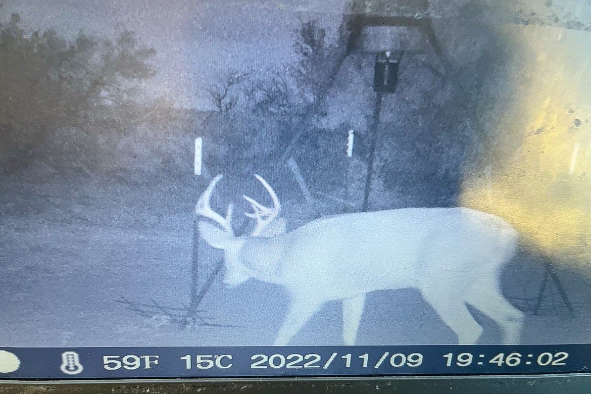 51.93 acres in Cottle County gallery image 4