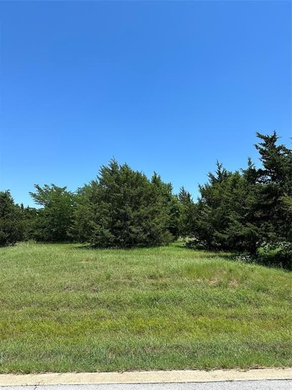 0.11 acres in Grayson County gallery image 2