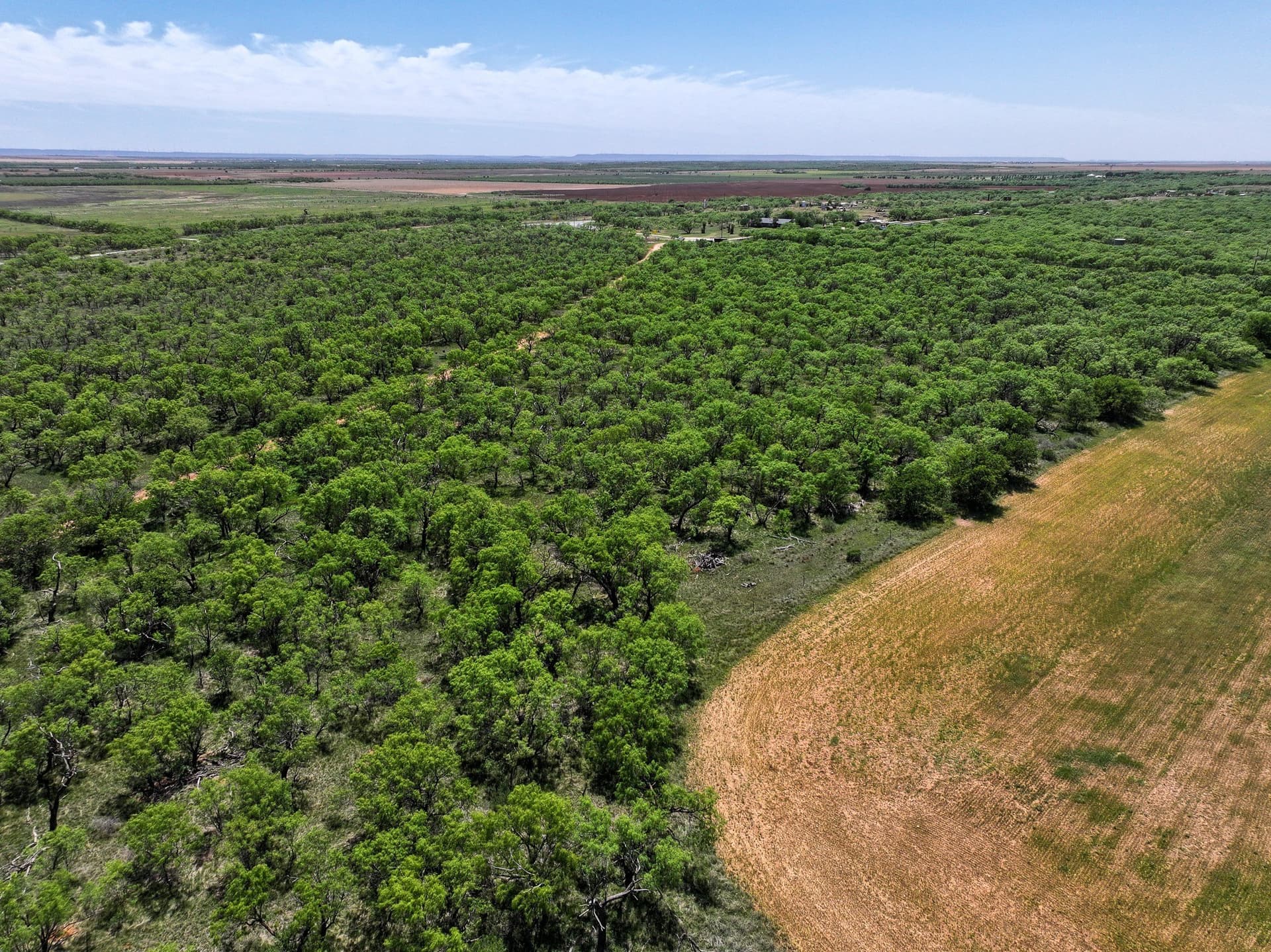 10.01 acres in Jones County - photo 13
