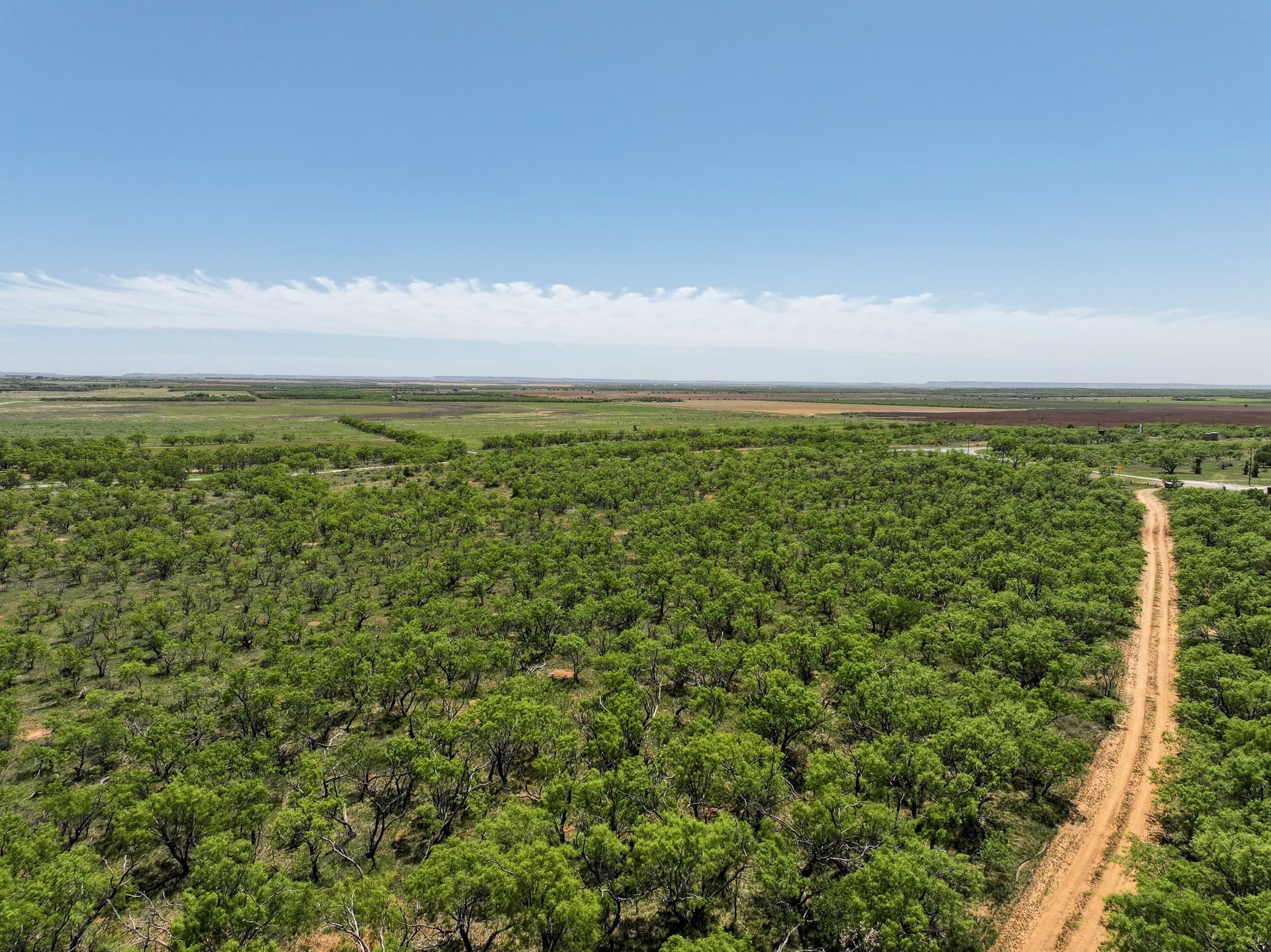 10.01 acres in Jones County - photo 6