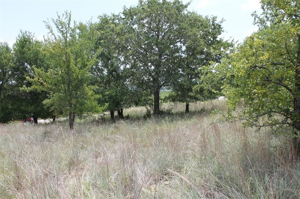 1.51 acres in Wise County featured view