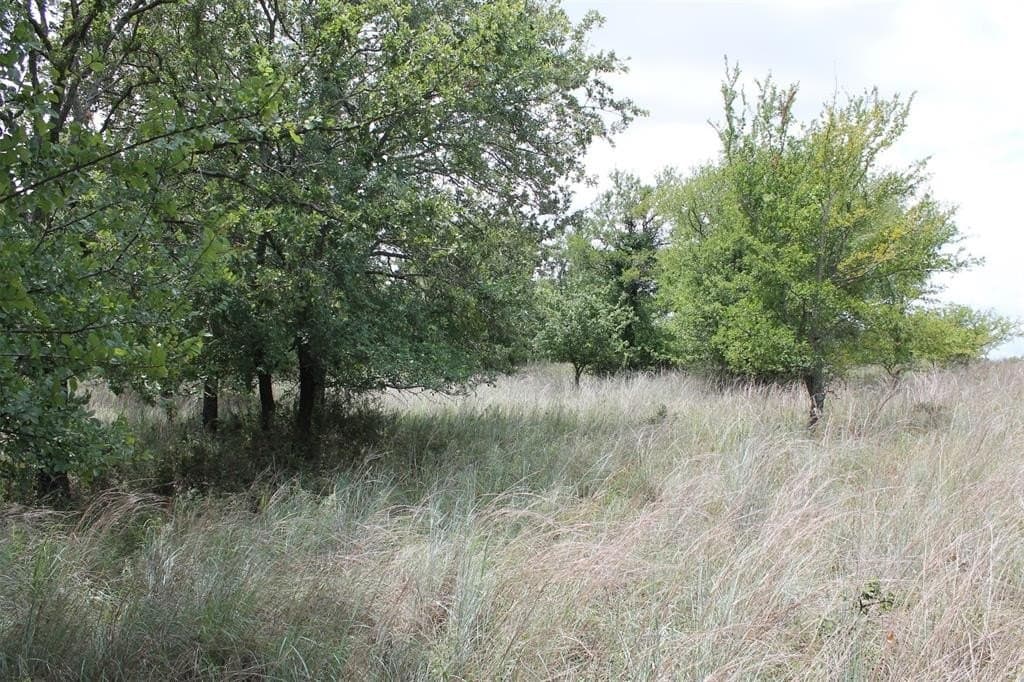 1.51 acres in Wise County gallery image 3