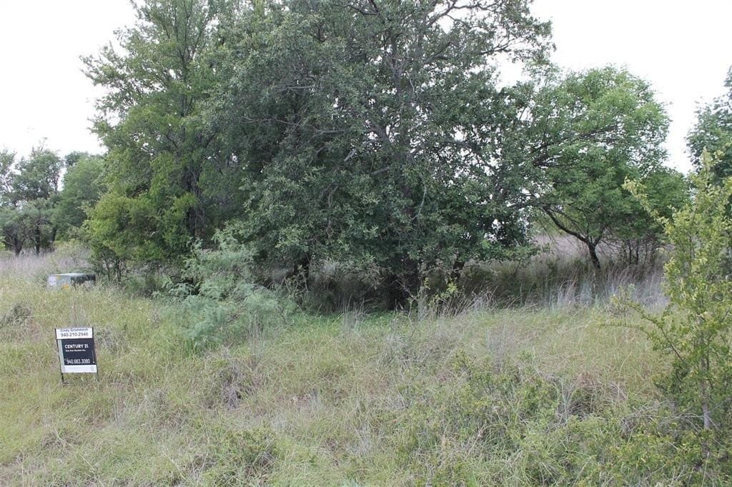 1.51 acres in Wise County gallery image 4