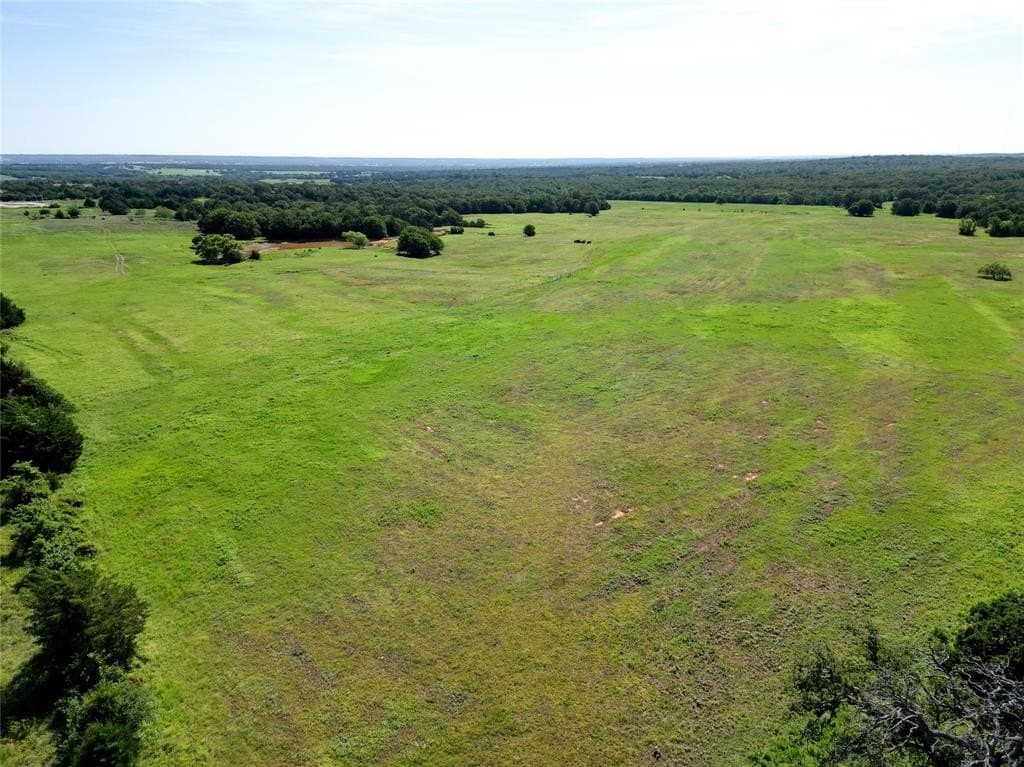 80 acres in Wise County gallery image 3