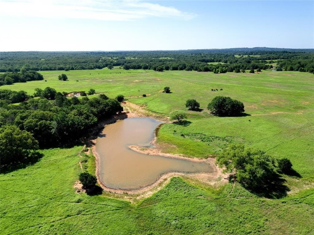 80 acres in Wise County gallery image 4