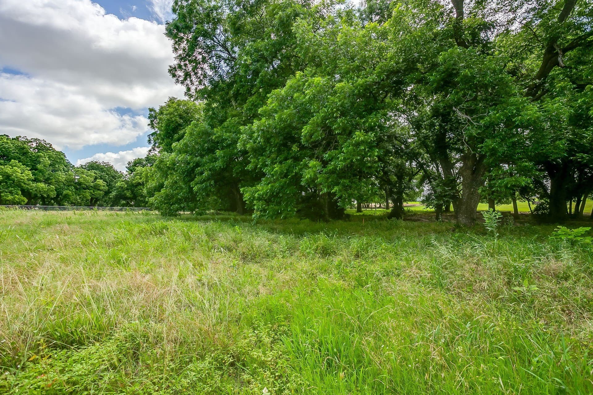 2.99 acres in Parker County - photo 18
