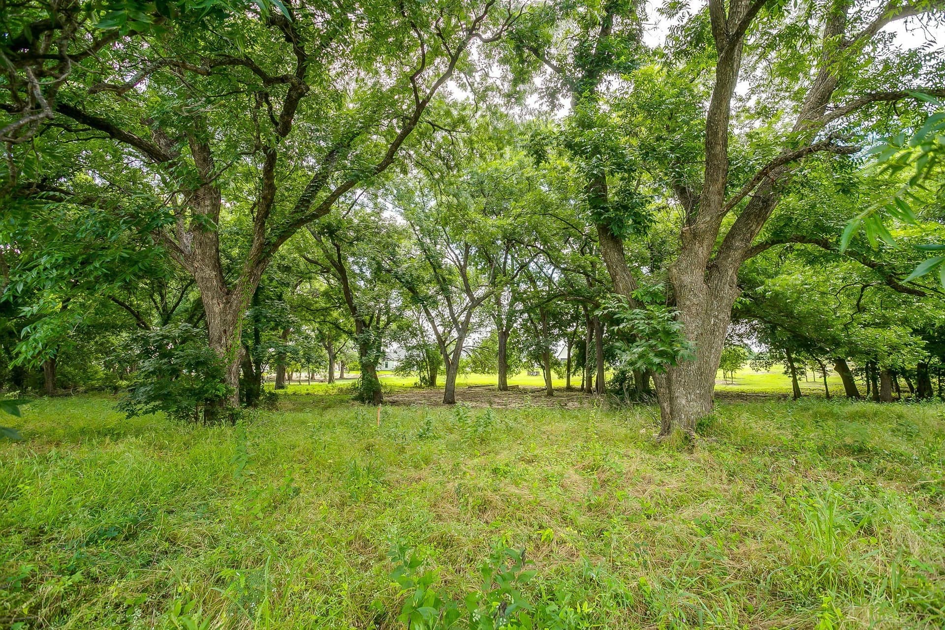 2.99 acres in Parker County - photo 19