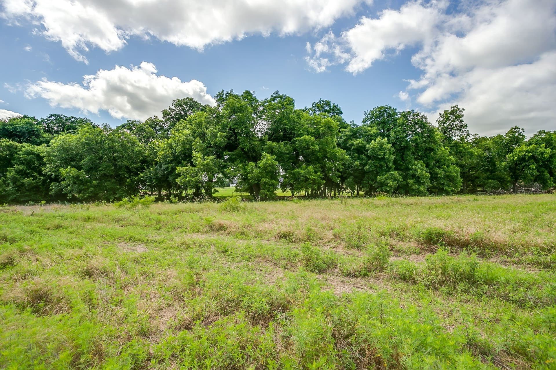 2.99 acres in Parker County - photo 22