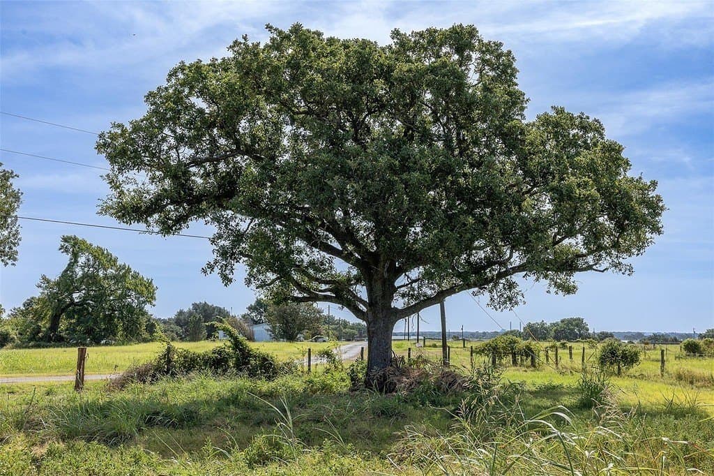 0.72 acres in Limestone County gallery image 4