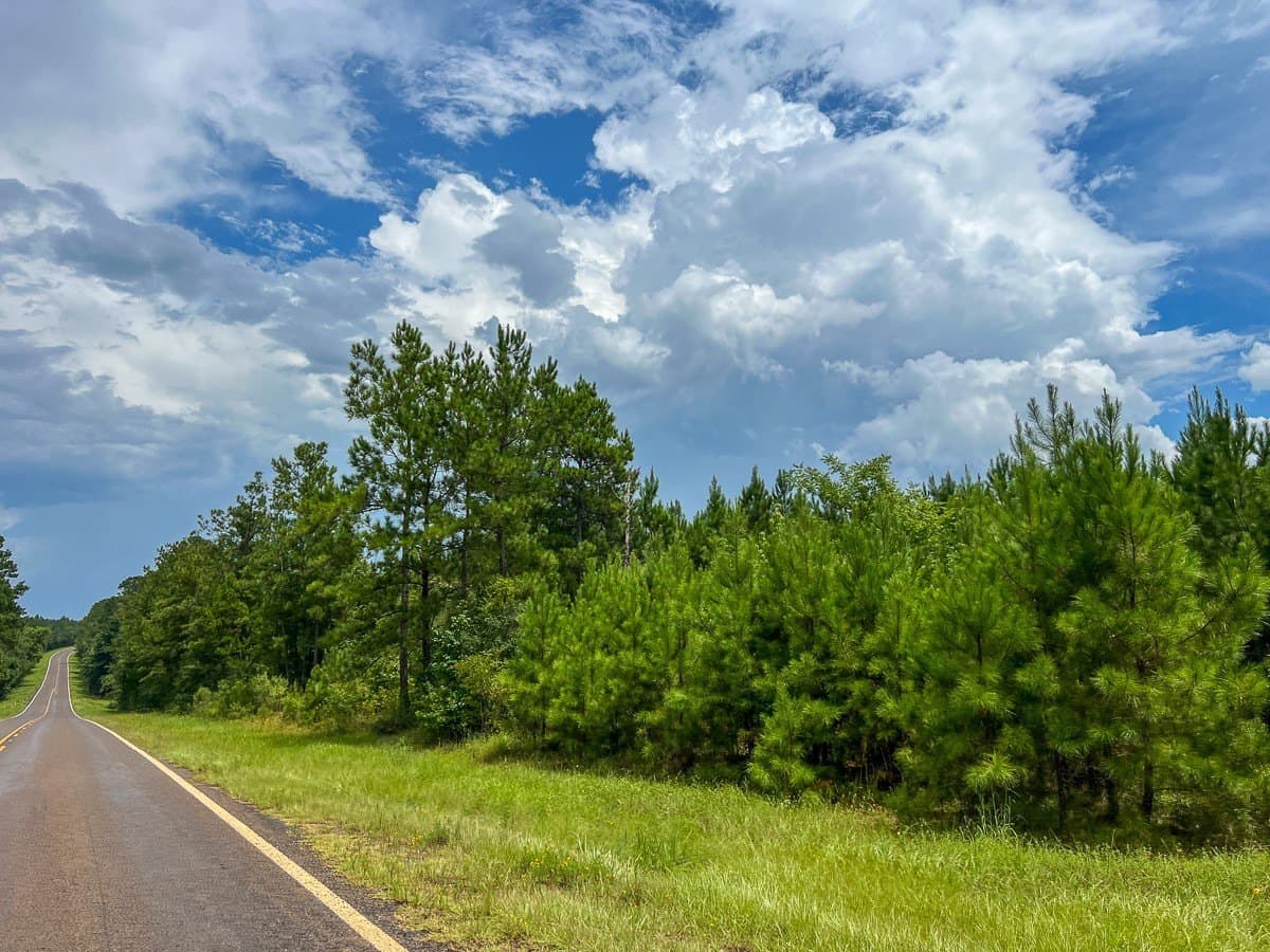 73 acres in Newton County - photo 8